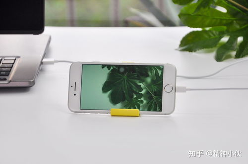 2021年蘋果產(chǎn)品選購(gòu)指南 iPhone、iPad、iWatch、AirPods全方位解析及軟件設(shè)計(jì)開(kāi)發(fā)推薦