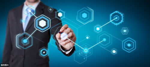 小滿時(shí)節(jié)，靈鴿驛站與您相約 網(wǎng)絡(luò)與信息安全軟件開發(fā)之旅